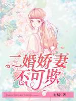 二婚嬌妻不可欺