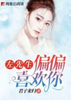 左先生，偏偏喜歡你