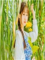 假婚真愛：暖暖訓(xùn)夫記