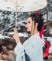 重生之再世為妃