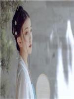 俠盜醫(yī)妃：戲精兒子歡樂(lè)多