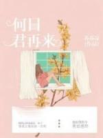 何日君再來