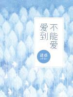 愛(ài)到不能愛(ài)