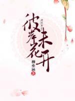 彼岸花未開