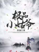 極品小姑爺