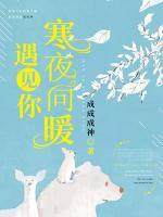 遇見(jiàn)你，寒夜向暖