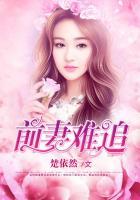 前妻難追