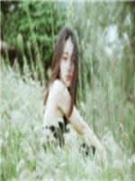 蜜謀甜婚：墨少太甜了
