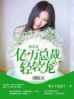 二婚求愛，億萬總裁輕輕寵