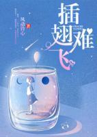 插翅難飛