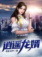 逍遙龍婿