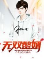無雙贅婿