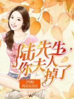 陸先生，你夫人掉了