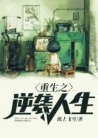 重生之逆襲人生