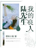 我的良人陸先生