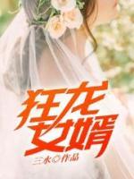 狂龍女婿