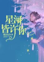 星河皆許你