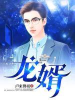 龍婿