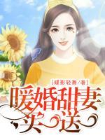 暖婚甜妻，買一送一