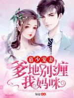 慕少寵妻：爹地別纏我媽咪