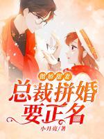 傲嬌甜妻：總裁拼婚要正名