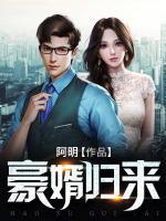 豪婿歸來