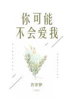你可能不會(huì)愛(ài)我