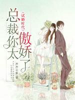 試婚時代：總裁你太傲嬌了