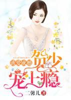 誘愛成婚：賀少寵上癮