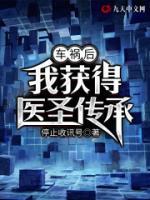 車禍后我獲得醫(yī)圣傳承