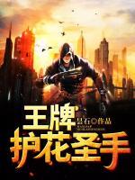 王牌護花圣手