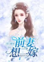 名門盛寵：前妻想二嫁