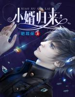小婿歸來(lái)