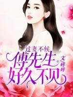 過妻不候：傅先生，好久不見