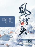 風(fēng)雪滿頭，不見白首