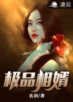 極品相婿