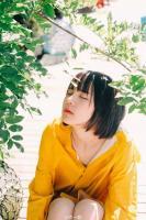 秦總的枕上婚書