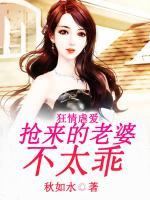 狂情虐愛：搶來(lái)的老婆不太乖