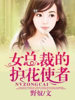 女總裁的護(hù)花使者