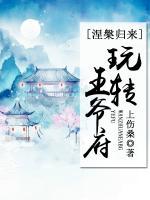涅槃歸來：玩轉(zhuǎn)王爺府