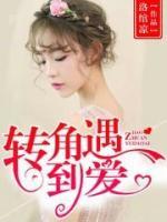 轉(zhuǎn)角遇到愛
