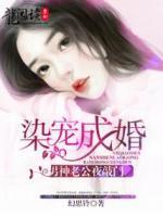 染寵成婚：男神老公夜敲門