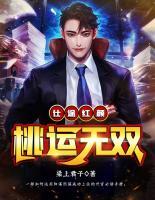 仕途紅顏：桃運(yùn)無雙