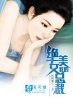 我的絕美女總裁