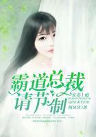寵妻上癮，霸道總裁請節(jié)制