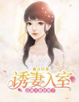 誘妻入室：總裁又被退婚了