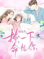陸先生，撩一下命都給你