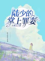 陸少的掌上罪妻