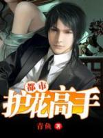 都市護花高手