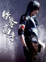 鐵拳高手